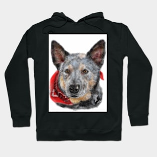 Australian Cattle Dog with a Bandana Hoodie